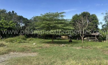 HUGE BLOCK - HUGE POSSIBILITIES! HOME LOT FOR SALE IN PUERTO PRINCESA CITY, PALAWAN!