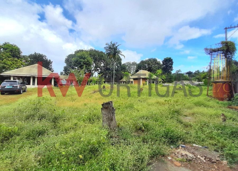 Opal Street, Angelina Homes, Ampid I, San Mateo, Rizal image 2