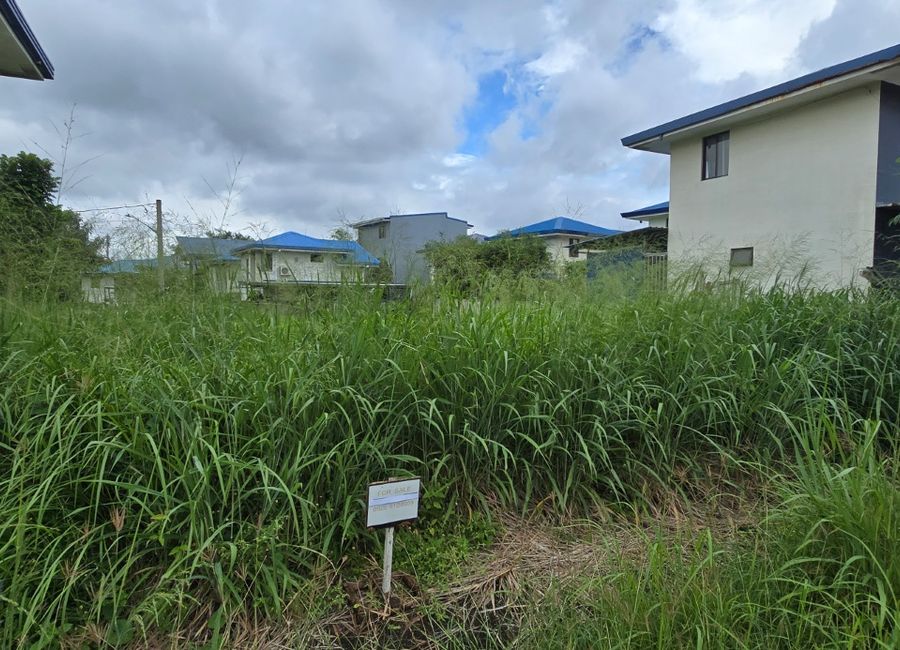 East Diversity Avenue, Canlubang, Calamba, Laguna