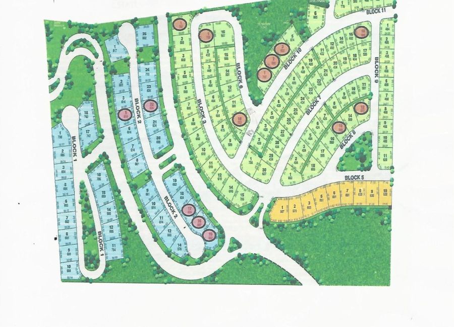Spine Road, Ayala Greenfield Estates, Maunong, Calamba, Laguna image 3