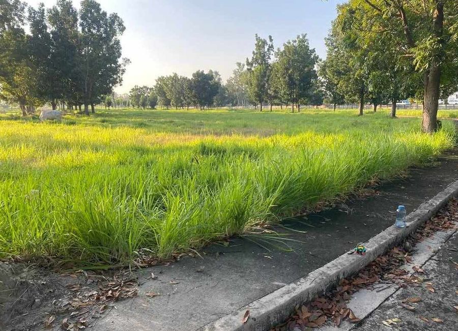 place photo 23