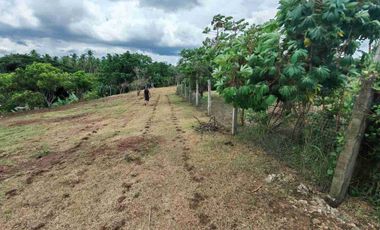 Farm Lot in Candelaria Quezon