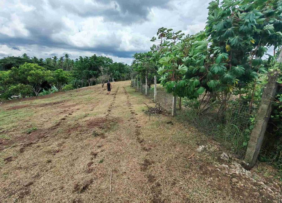 Bukal Norte, Candelaria, 2nd District, Quezon