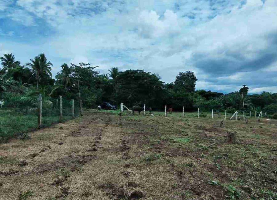 Bukal Norte, Candelaria, 2nd District, Quezon image 2