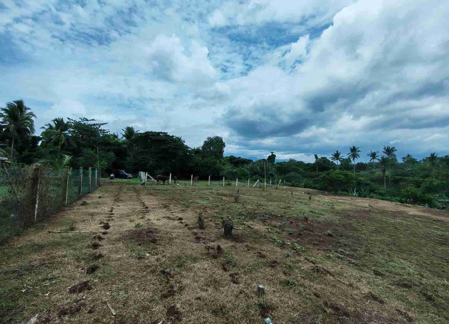 Bukal Norte, Candelaria, 2nd District, Quezon image 3