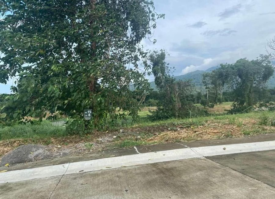 Ayala Greenfield Estates, Maunong, Calamba, Laguna image 2