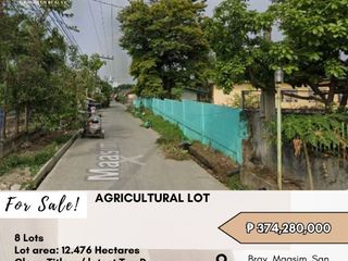 FOR SALE Agricultural Lot located at Barangay Maasim, San Ildefonso, Bulacan