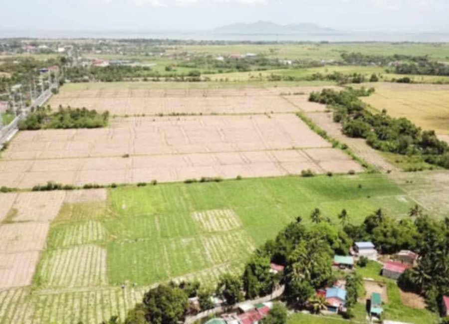Calle Aleman, Poblacion, Kanluran, Prinza, Calauan, Laguna image 2