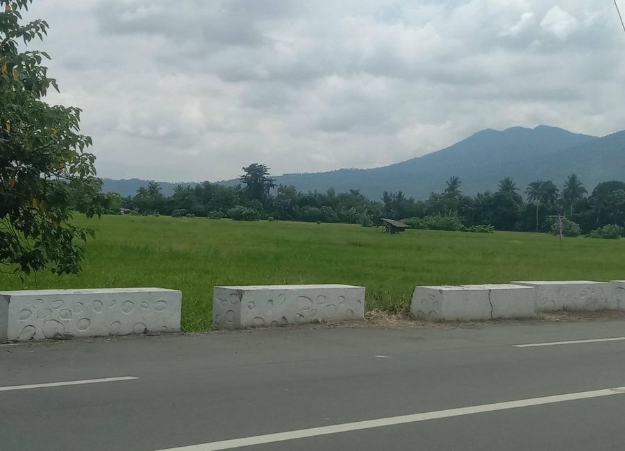 Calle Aleman, Poblacion, Kanluran, Prinza, Calauan, Laguna image 3