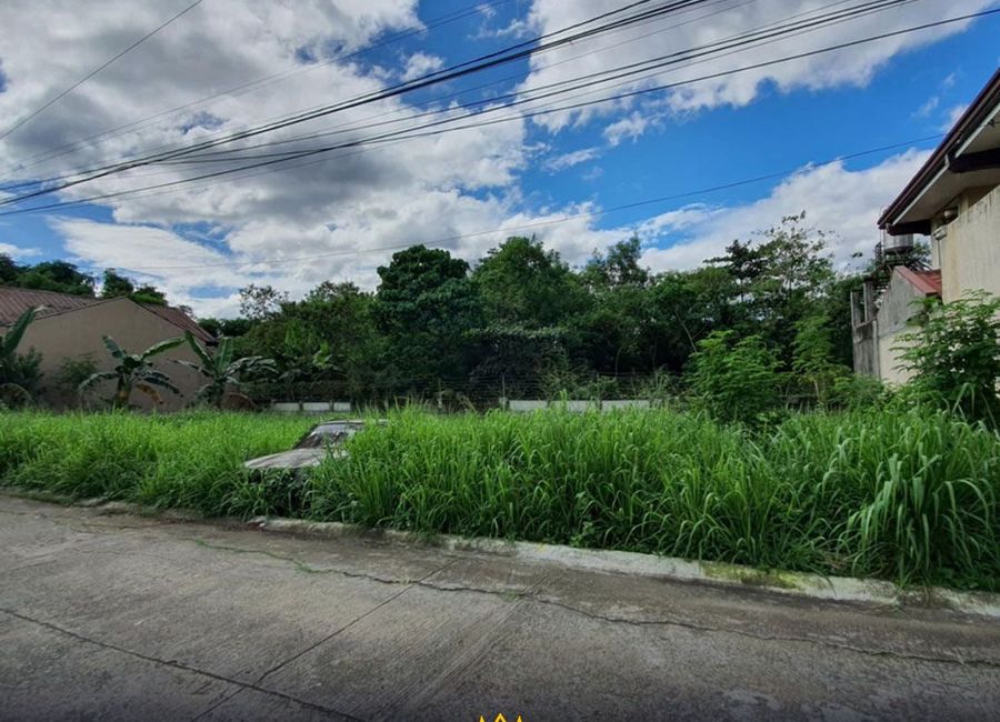 Eastville Avenue, Eastville, Muntingdilaw, Antipolo, Rizal image 2