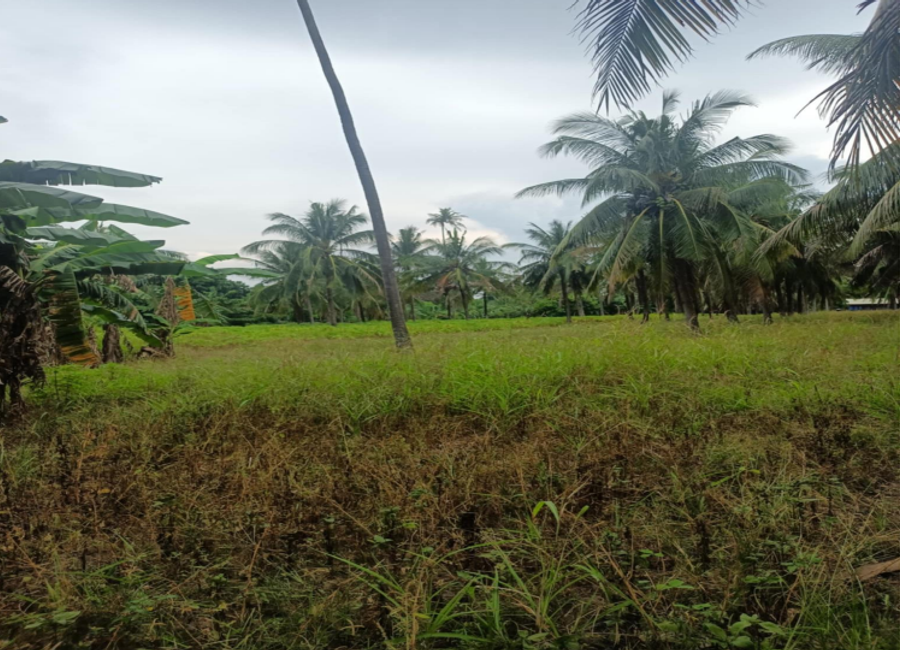 Sampaloc 2, Tumbaga 2, Sariaya, 2nd District, Quezon