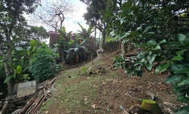 Residential Lot for Sale in Camp 7, Baguio City
