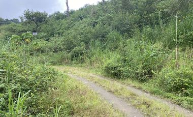 Titled Lot for Sale in Longlong, Puguis, Benguet