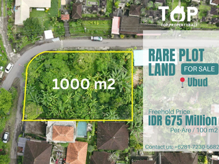 Ricefield view Land 1000 SqM or 10 Are at Kelusa Ubud Commercial Zone