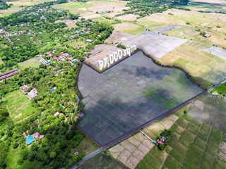 Agricultural Farm Lot for Sale in Laguna City | 97,000 SQM Rice Field