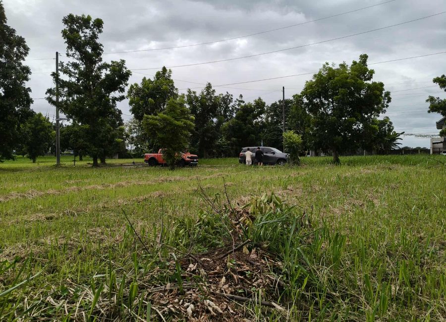 Palo Maria Street, Carmel Ridge Residential Estates, Punta, Calamba, Laguna image 3