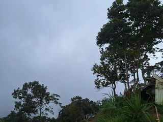 UNREGISTERED LAND along Taloy Norte, Tuba Benguet 8500 sq.m about 150 meters from the highway