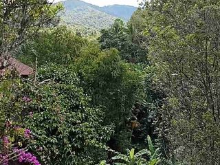 dijual tanah los sungai dan view bukit sudah berisi bangunan restoran tempat makan