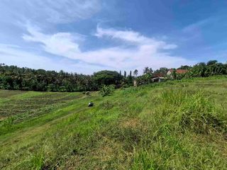 dijual tanah zona pink di pantai medewi