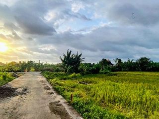LSH-015.DAU | Sewa 20Th Tanah Kavling Lokasi Strategis di Sedap Malam