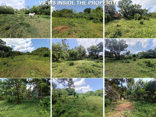 Residential Lot for Sale in Marymount Village Los Baños Laguna | 25,824 sqm | ₱4,000/sqm | ₱103.3M