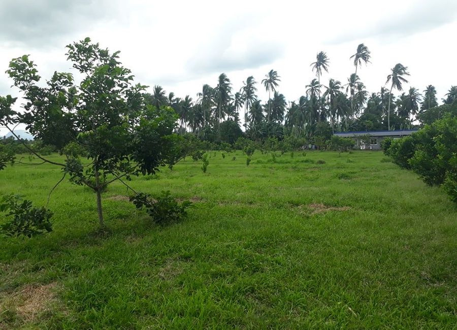 Santa Ana, San Pablo, Laguna