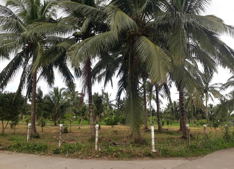 Santa Ana, San Pablo, Laguna image 3