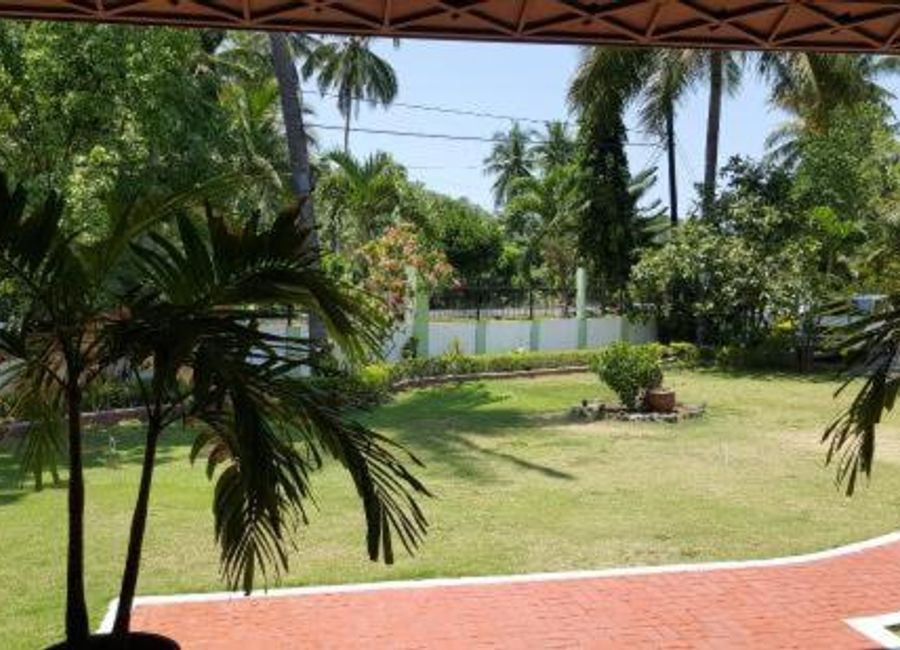 place photo 30