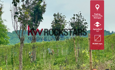PRIME ASSET FOR SALE: 8-HA FARM IN BAGBAG, ALONG BAGUMBAYAN ROAD, TANAUAN CITY, BATANGAS