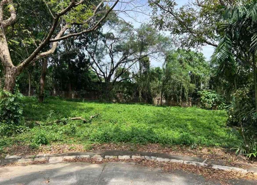 South Boulevard, Ayala Westgrove Heights, Inchican, Silang, Cavite image 2