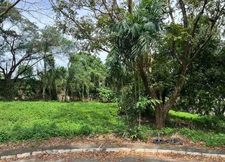 South Boulevard, Ayala Westgrove Heights, Inchican, Silang, Cavite image 3