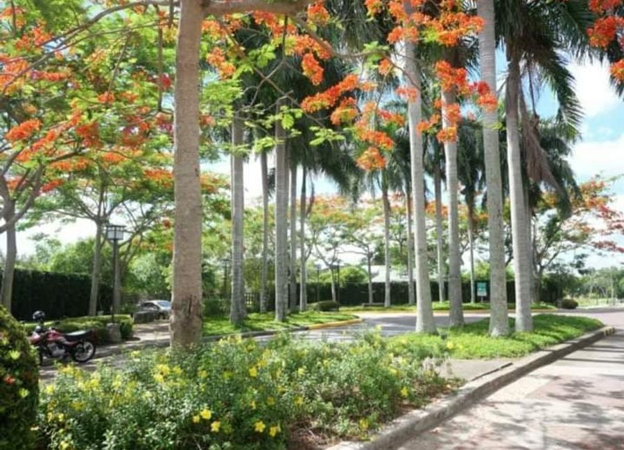 1 Timothy Street, Centro de San Lorenzo Phase 1C, Malitlit, Santa Rosa, Laguna