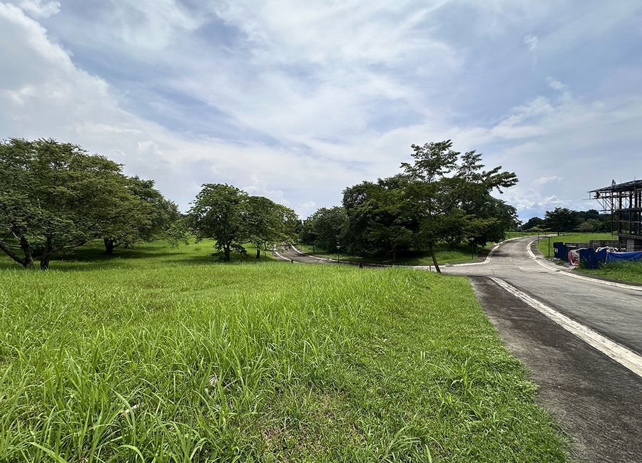 Spine Road, Ayala Greenfield Estates, Maunong, Calamba, Laguna image 2
