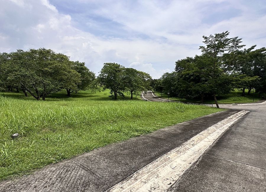 Spine Road, Ayala Greenfield Estates, Maunong, Calamba, Laguna image 3