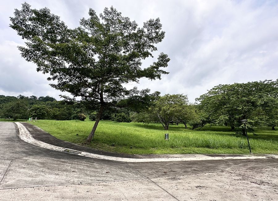 Spine Road, Ayala Greenfield Estates, Maunong, Calamba, Laguna