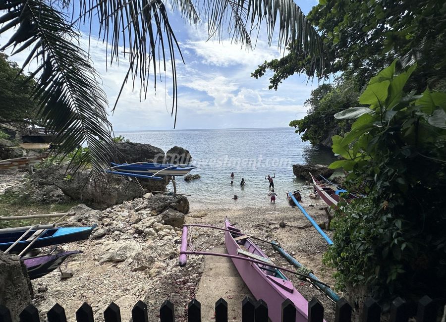 place photo 11