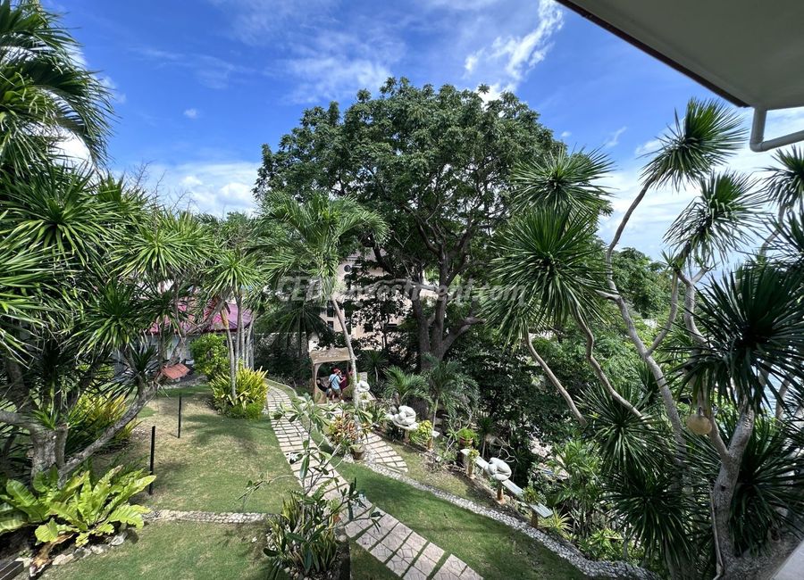 place photo 14