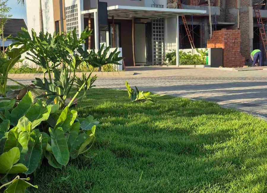 place photo 23
