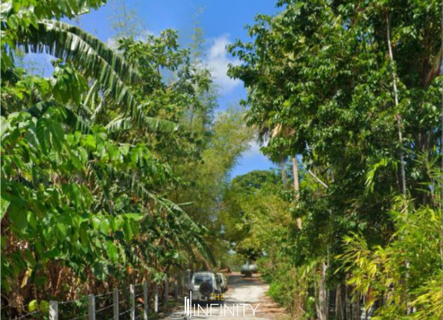 San Miguel, Alaminos, Laguna image 2