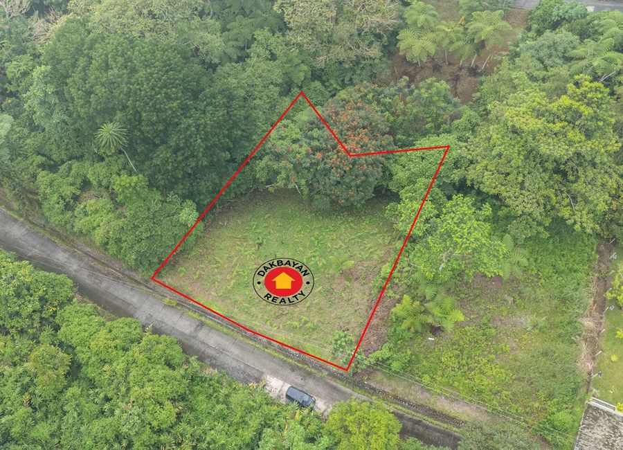 Lot For Sale in Mountain Haven Subdivision Eden Toril Davao City ...