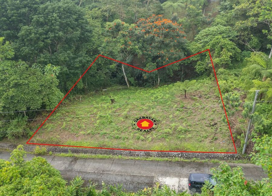 Lot For Sale in Mountain Haven Subdivision Eden Toril Davao City ...