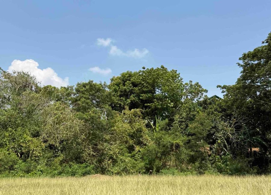 Stonecrest, Rosario, San Pedro, Laguna