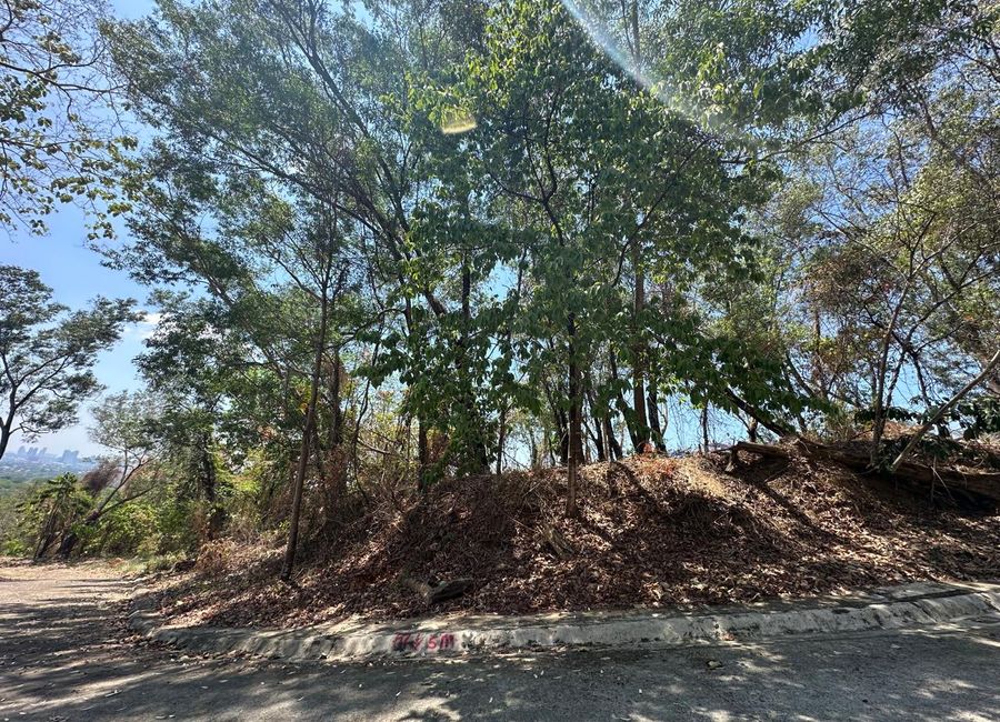 Parkridge Drive, Park Ridge, Santa Cruz, Antipolo, Rizal image 2