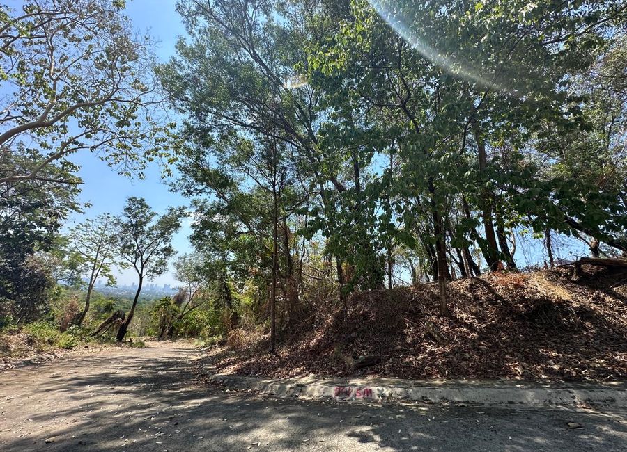 Parkridge Drive, Park Ridge, Santa Cruz, Antipolo, Rizal image 3
