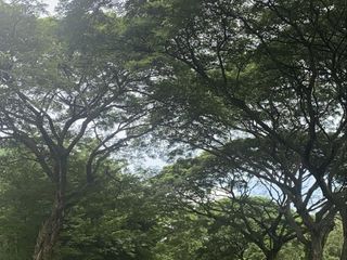 585 SQM Residential Lot for Sale in Sta. Rosa, Laguna City at Promenade Village with Golf Courses in the Area