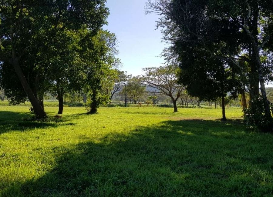 Luscara, Canlubang, Calamba, Laguna image 2