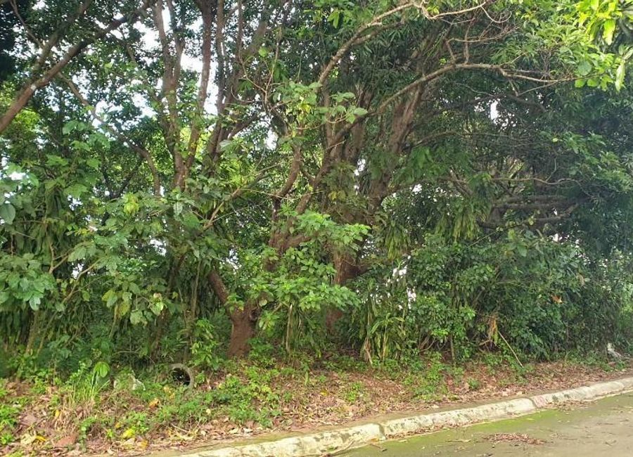 Calawis, Antipolo, Rizal image 2