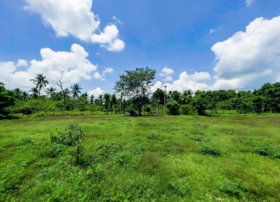 Pagolingin Bata, Lipa, Batangas image 2