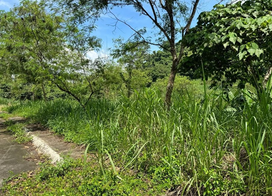 Tanglaw, San Isidro, Antipolo, Rizal image 2