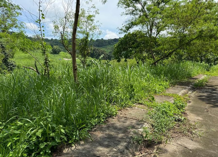 Tanglaw, San Isidro, Antipolo, Rizal